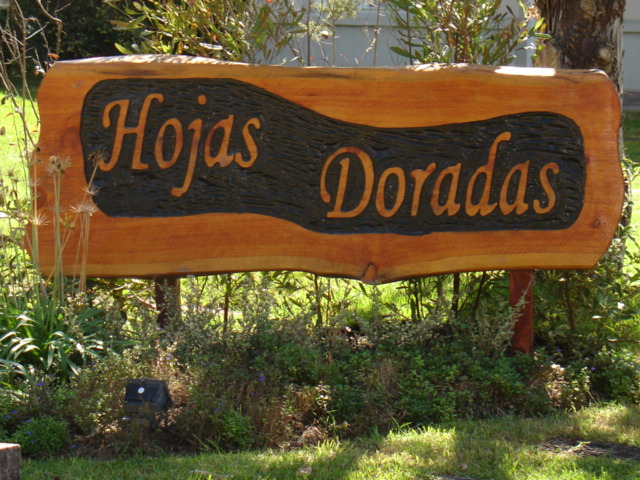 HOJAS DORADAS HOJAS DORADAS